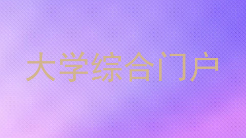 大学综合门户