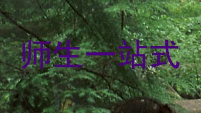 师生一站式