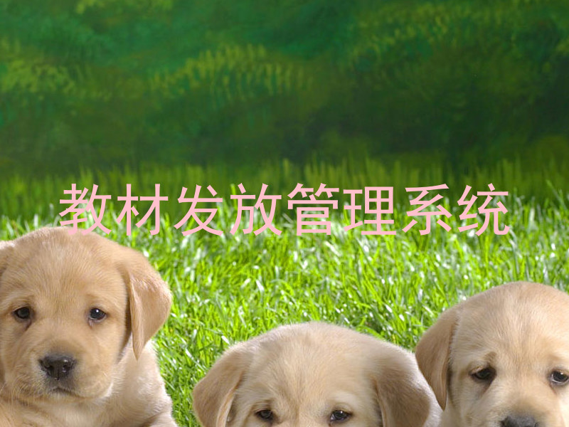 教材发放管理系统