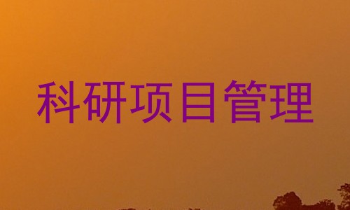 科研项目管理