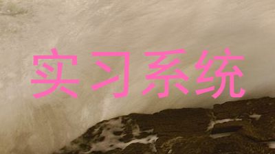 实习系统