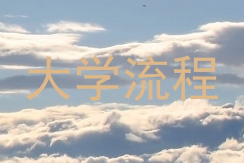 大学流程