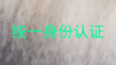 统一身份认证