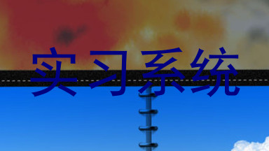 实习系统