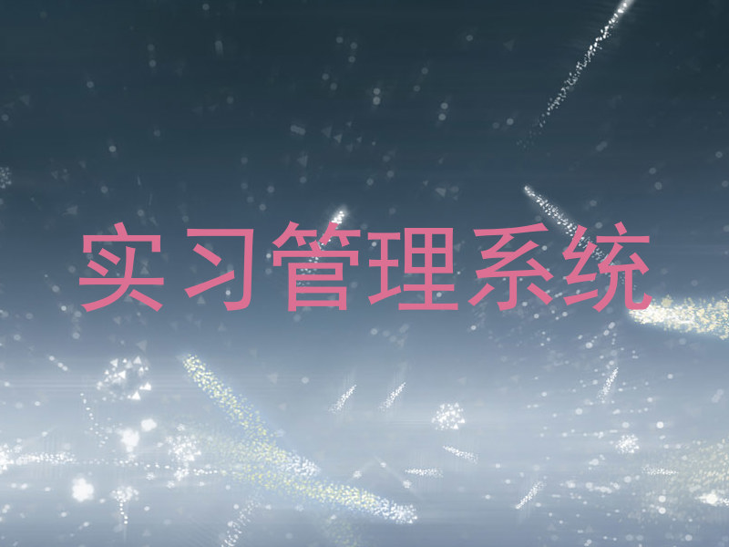 实习管理系统