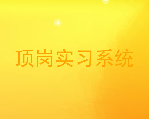 顶岗实习系统