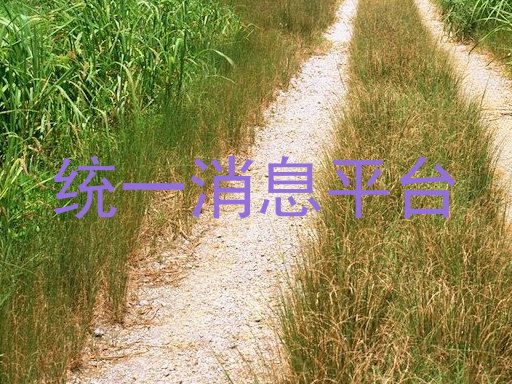 统一消息平台