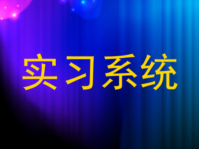 实习系统