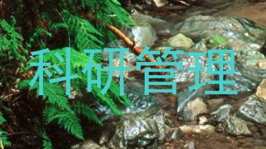 科研管理