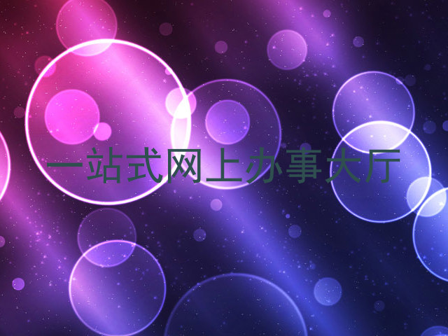 一站式网上办事大厅