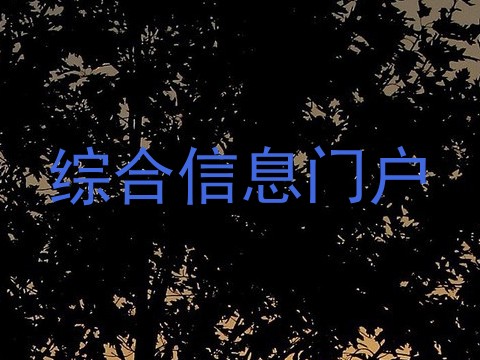 综合信息门户