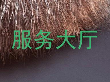 服务大厅