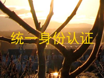 统一身份认证