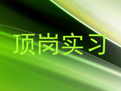 顶岗实习