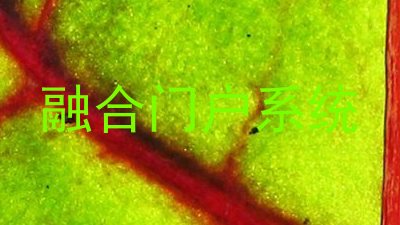 融合门户系统