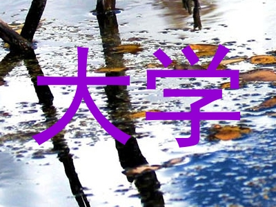 大学