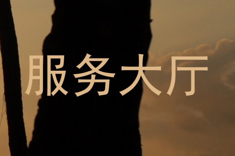 服务大厅