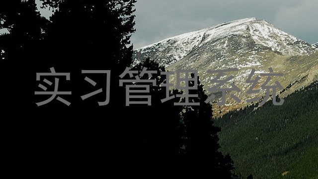实习管理系统