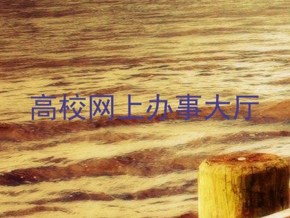 高校网上办事大厅