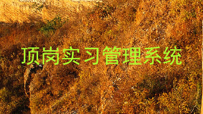 顶岗实习管理系统