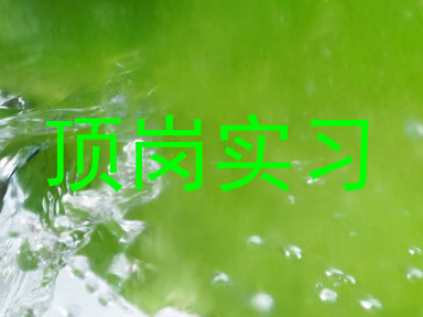 顶岗实习