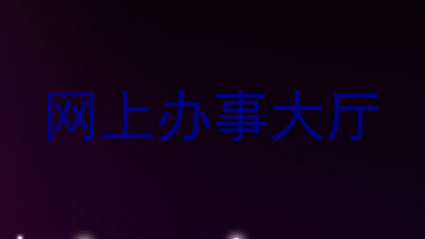 网上办事大厅