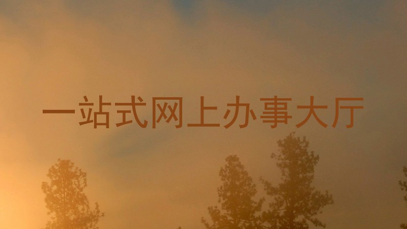 一站式网上办事大厅