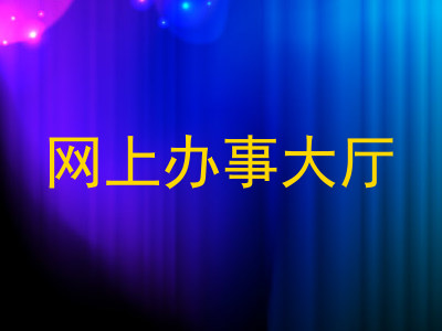 网上办事大厅