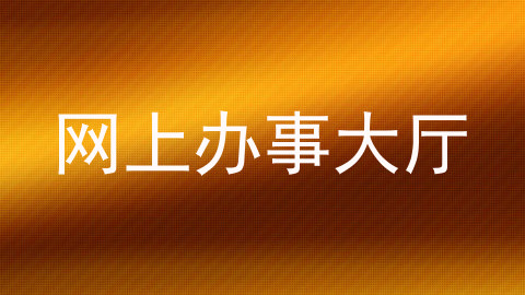网上办事大厅