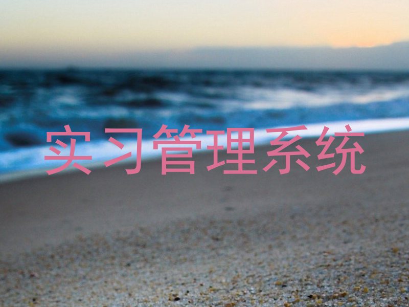 实习管理系统