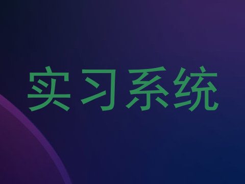 实习系统