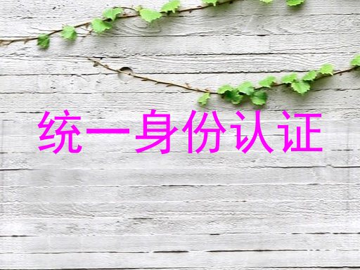 统一身份认证