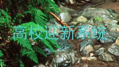 高校迎新系统