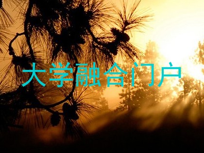 大学融合门户
