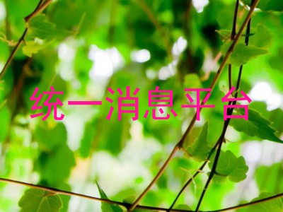统一消息平台