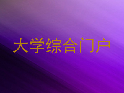 大学综合门户