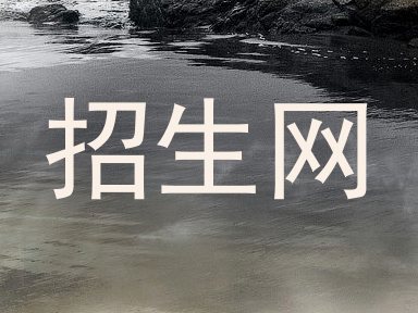 招生网