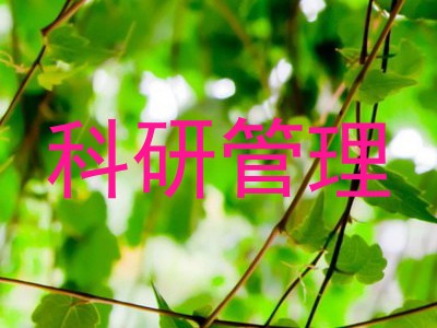科研管理