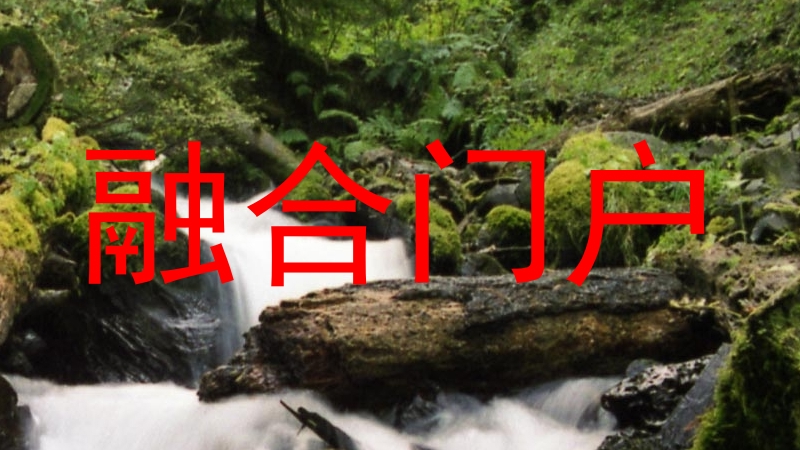 融合门户