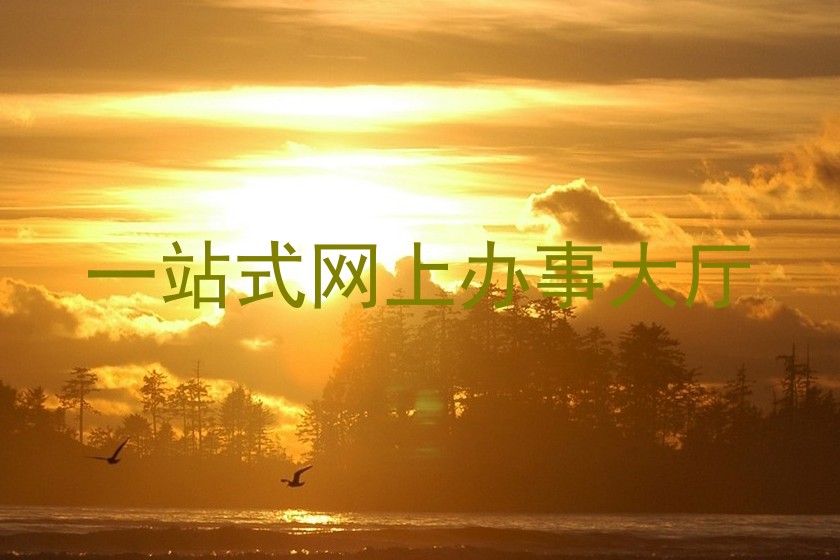 一站式网上办事大厅