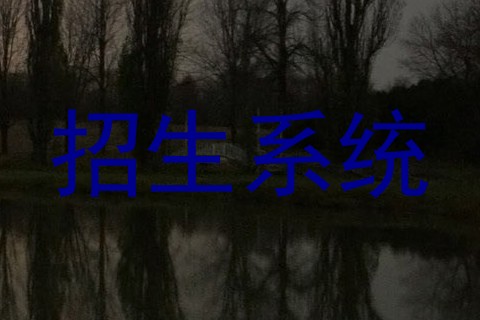 招生系统