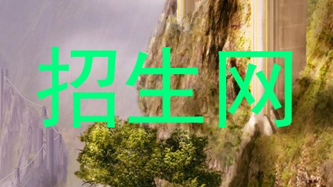 招生网