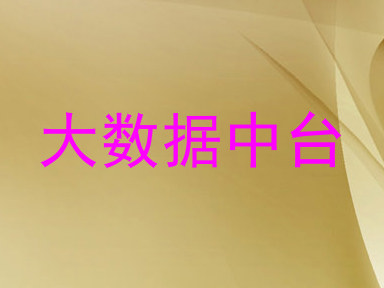 大数据中台