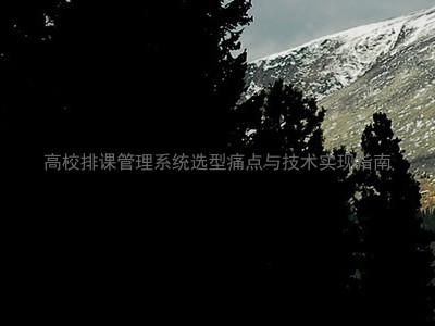 高校排课管理系统选型痛点与技术实现指南