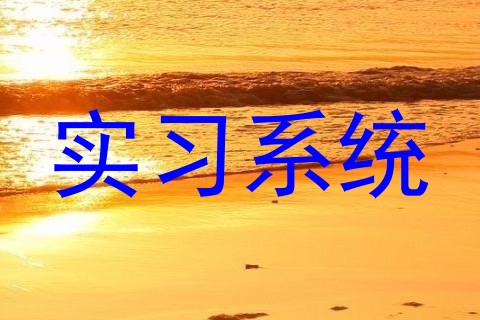 实习系统