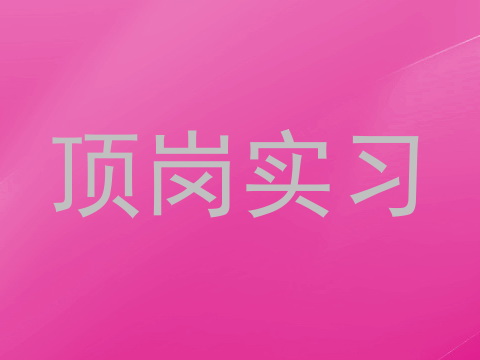 顶岗实习