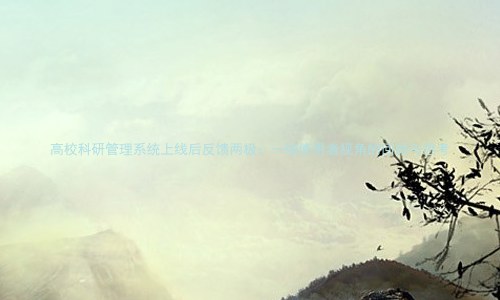 高校科研管理系统上线后反馈两极：一线使用者视角的回顾与思考