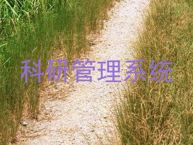 科研管理系统