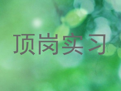 顶岗实习