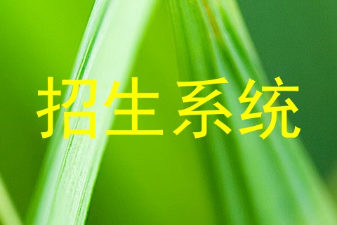 招生系统